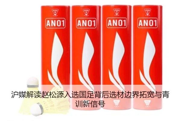 沪媒解读赵松源入选国足背后选材边界拓宽与青训新信号 - XINGKONG